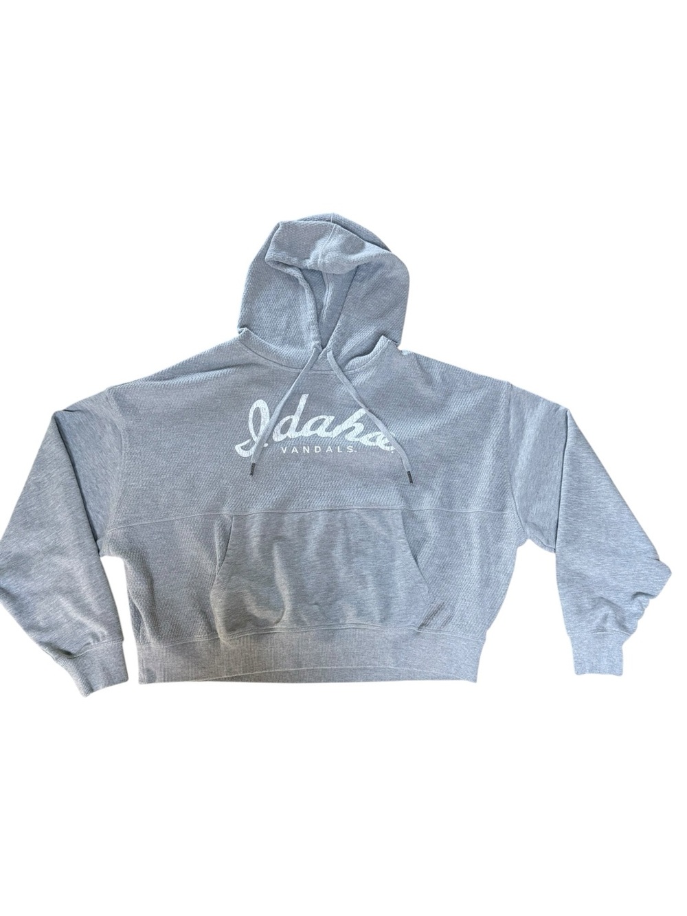 Idaho Vandals Oversize Gray Cropped Hoodie